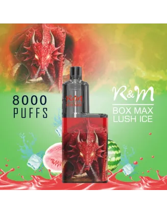 Original R&M BOX MAX 8000 Puffs Mesh Coil Vape Rechargeable Device (Free Shipping)
